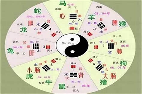 字音五行|汉字五行查询